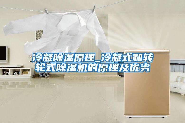 冷凝除濕原理_冷凝式和轉輪式除濕機的原理及優(yōu)劣