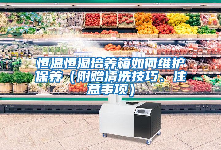 恒溫恒濕培養箱如何維護保養（附贈清洗技巧、注意事項）