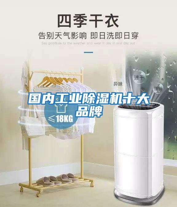 國內工業(yè)除濕機十大品牌
