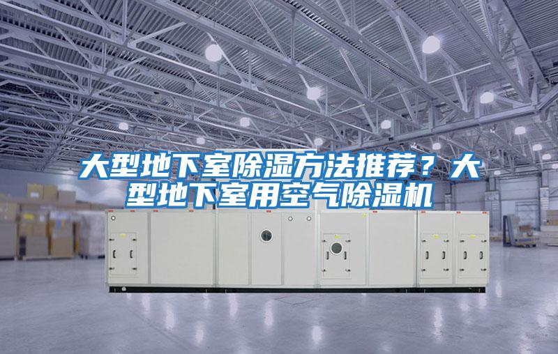 大型地下室除濕方法推薦？大型地下室用空氣除濕機