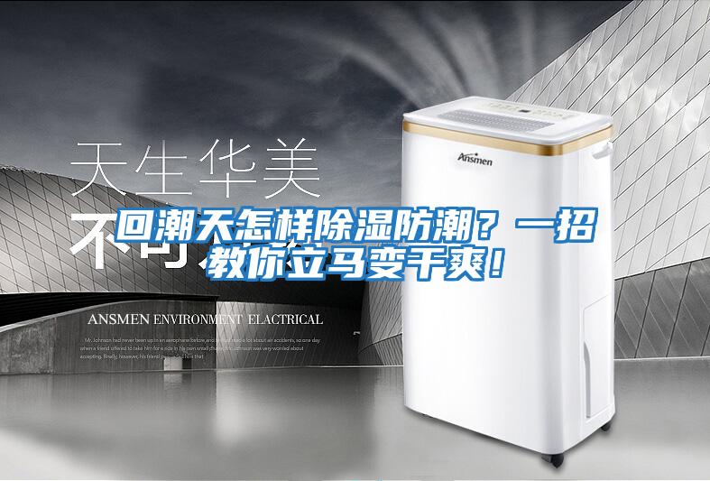 回潮天怎樣除濕防潮？一招教你立馬變干爽！