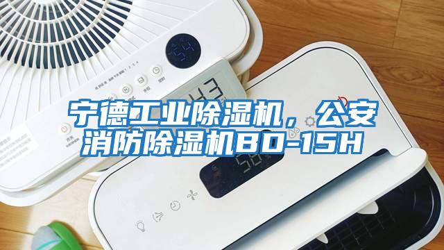寧德工業(yè)除濕機，公安消防除濕機BD-15H