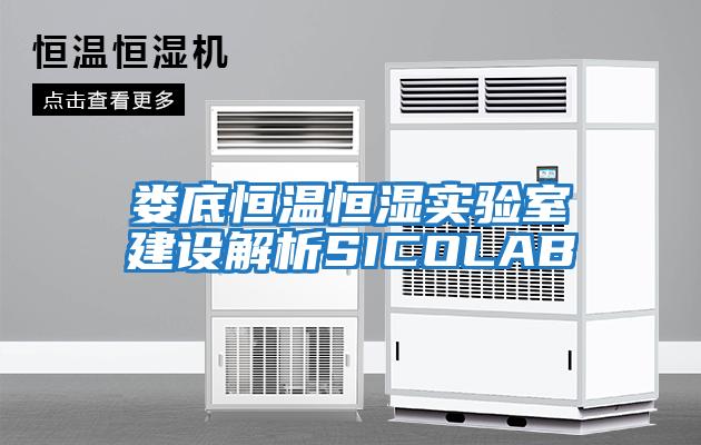 婁底恒溫恒濕實(shí)驗室建設解析SICOLAB