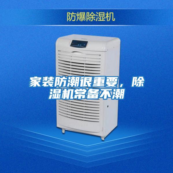 家裝防潮很重要，除濕機常備不潮