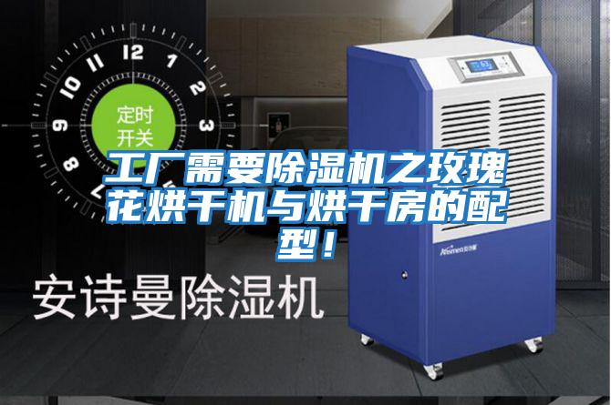 工廠(chǎng)需要除濕機之玫瑰花烘干機與烘干房的配型！