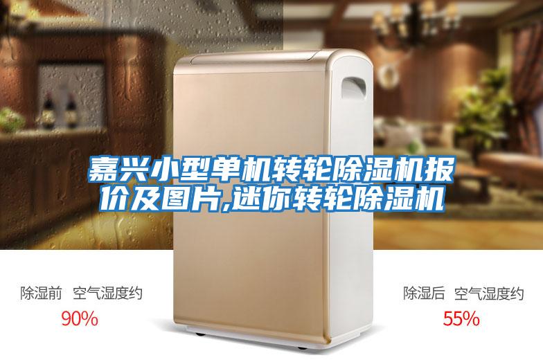 嘉興小型單機轉輪除濕機報價(jià)及圖片,迷你轉輪除濕機