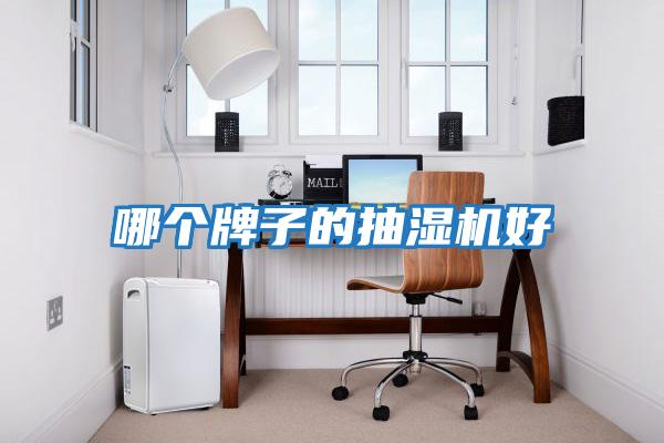 哪個(gè)牌子的抽濕機好