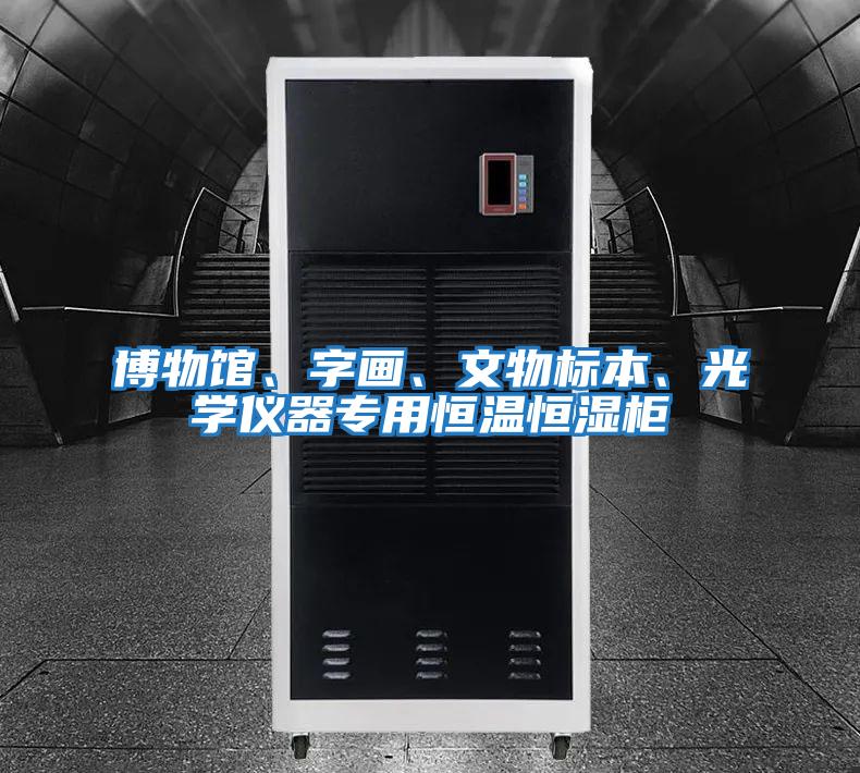 博物館、字畫(huà)、文物標本、光學(xué)儀器專(zhuān)用恒溫恒濕柜