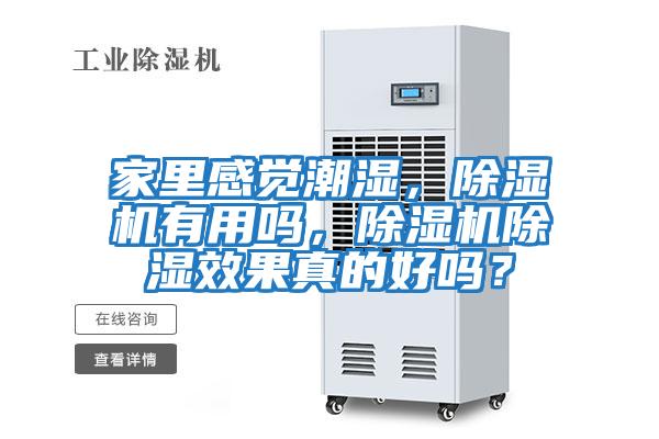 家里感覺(jué)潮濕，除濕機有用嗎，除濕機除濕效果真的好嗎？