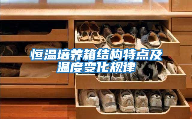 恒溫培養箱結構特點(diǎn)及溫度變化規律