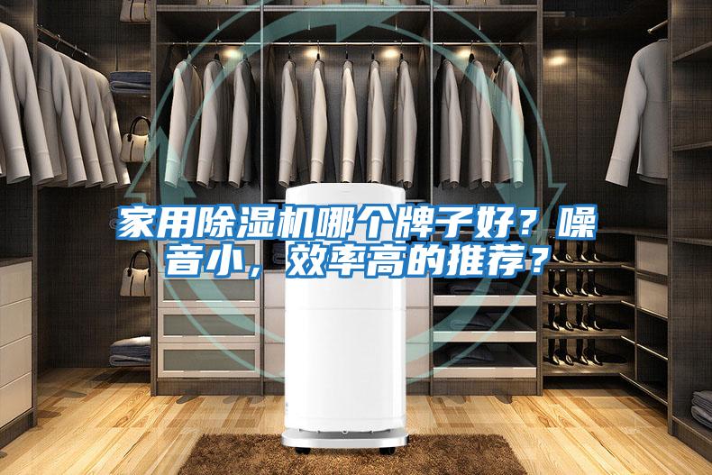 家用除濕機哪個(gè)牌子好？噪音小，效率高的推薦？