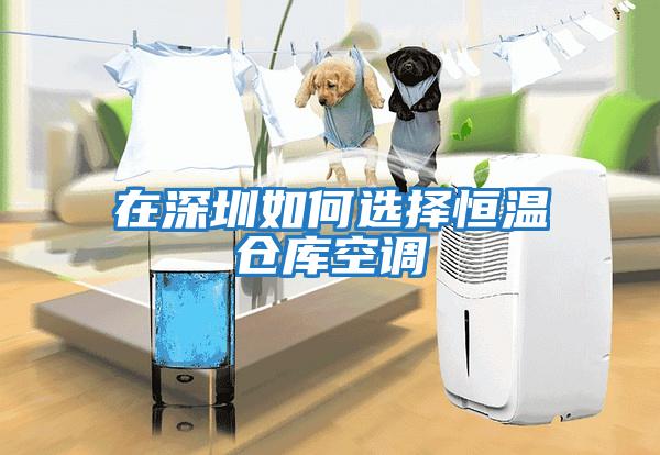 在深圳如何選擇恒溫倉庫空調