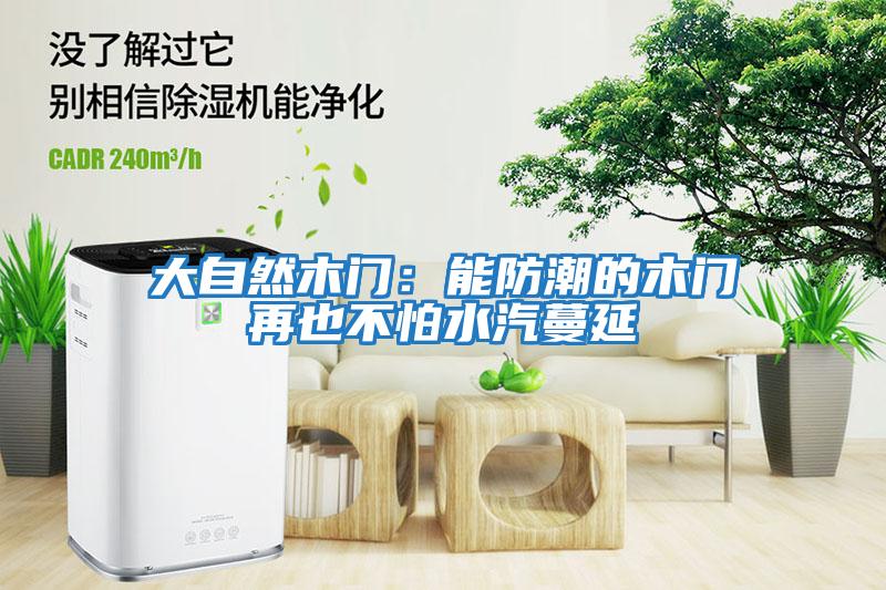 大自然木門(mén):能防潮的木門(mén)再也不怕水汽蔓延