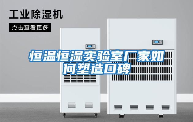 恒溫恒濕實(shí)驗室廠(chǎng)家如何塑造口碑
