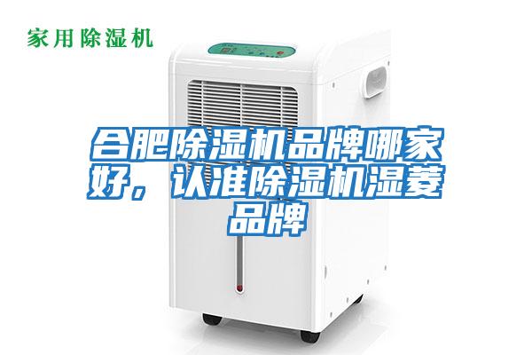 合肥除濕機品牌哪家好，認準除濕機濕菱品牌