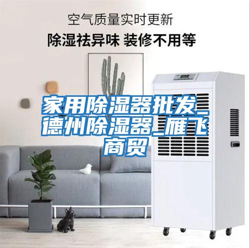 家用除濕器批發(fā)_德州除濕器_雁飛商貿