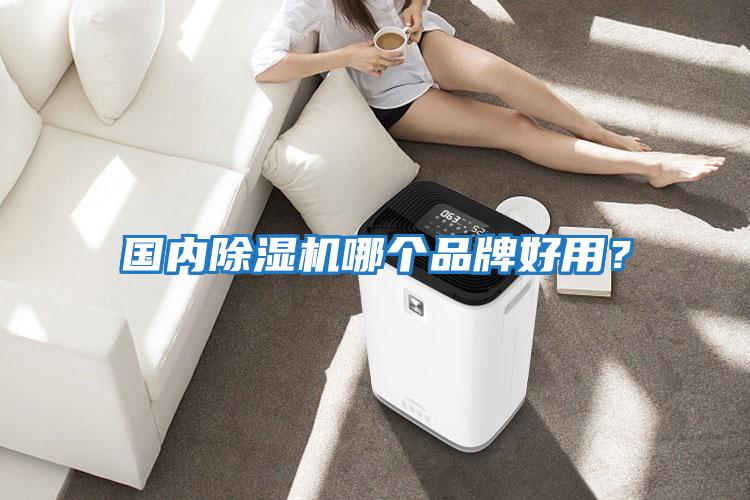 國內除濕機哪個(gè)品牌好用？