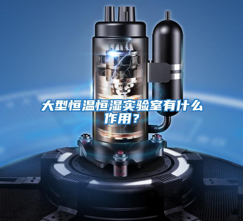 大型恒溫恒濕實(shí)驗室有什么作用？