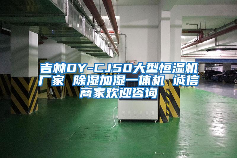 吉林DY-CJ50大型恒濕機廠(chǎng)家 除濕加濕一體機 誠信商家歡迎咨詢(xún)