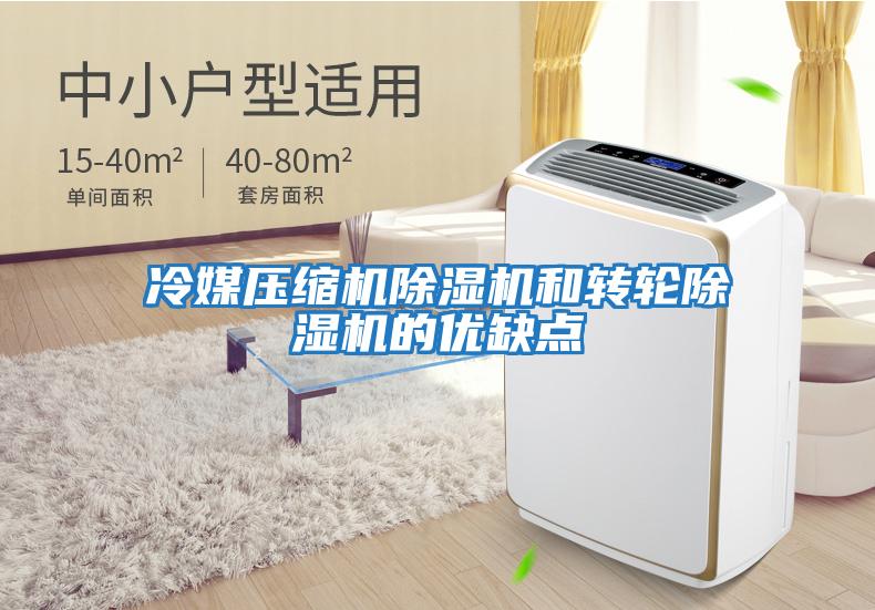 冷媒壓縮機除濕機和轉輪除濕機的優(yōu)缺點(diǎn)
