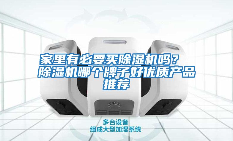 家里有必要買(mǎi)除濕機嗎？ 除濕機哪個(gè)牌子好優(yōu)質(zhì)產(chǎn)品推薦