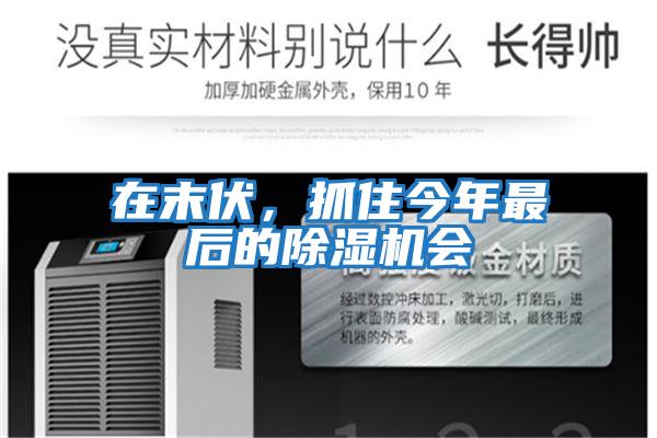在末伏，抓住今年最后的除濕機會(huì )