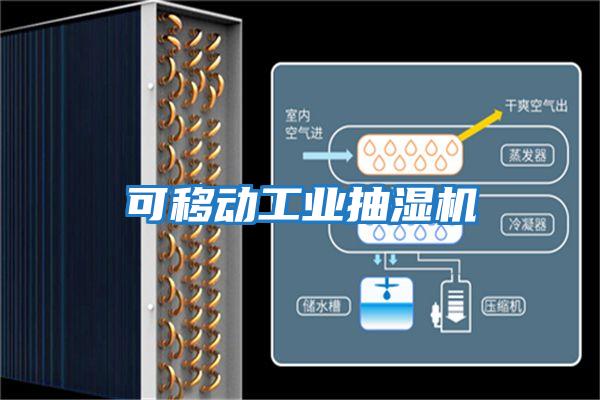 可移動(dòng)工業(yè)抽濕機