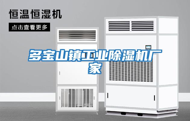 多寶山鎮工業(yè)除濕機廠(chǎng)家