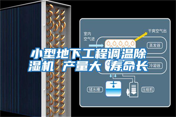 小型地下工程調溫除濕機 產(chǎn)量大 壽命長(cháng)