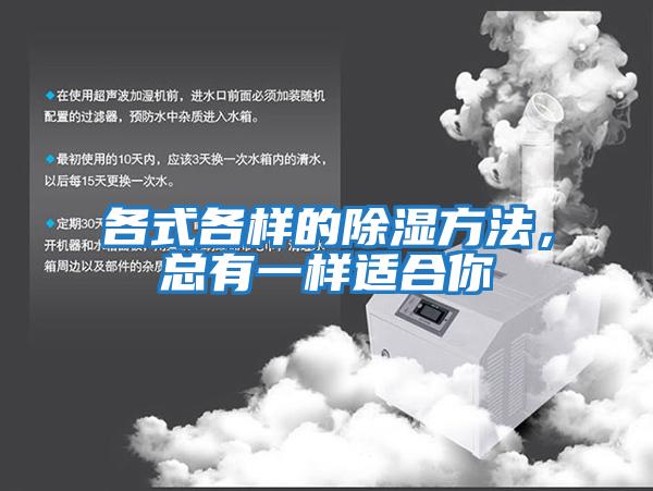 各式各樣的除濕方法，總有一樣適合你