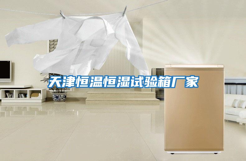 天津恒溫恒濕試驗箱廠(chǎng)家