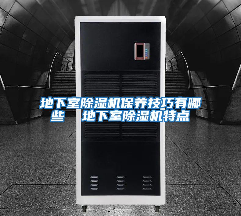 地下室除濕機保養技巧有哪些  地下室除濕機特點(diǎn)