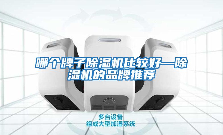 哪個(gè)牌子除濕機比較好—除濕機的品牌推薦