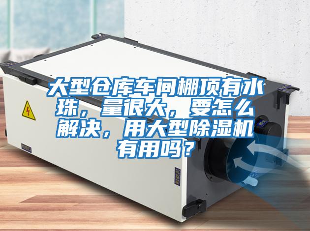 大型倉庫車(chē)間棚頂有水珠，量很大，要怎么解決，用大型除濕機有用嗎？