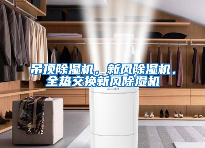 吊頂除濕機，新風(fēng)除濕機，全熱交換新風(fēng)除濕機