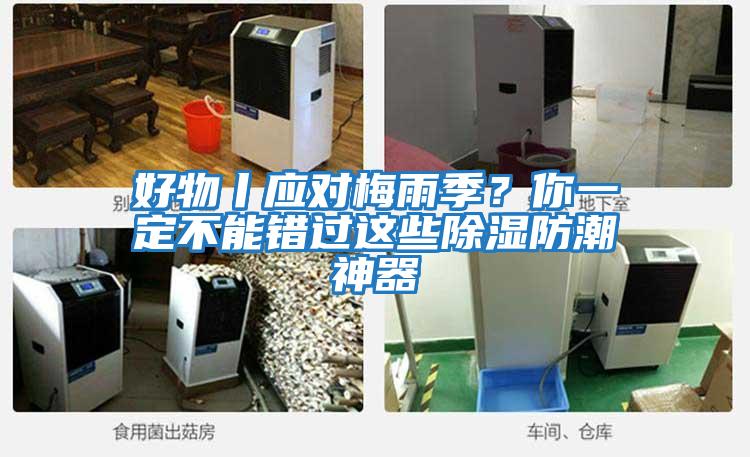 好物丨應對梅雨季？你一定不能錯過(guò)這些除濕防潮神器