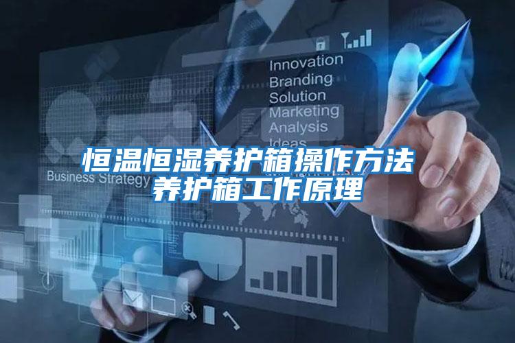 恒溫恒濕養護箱操作方法 養護箱工作原理