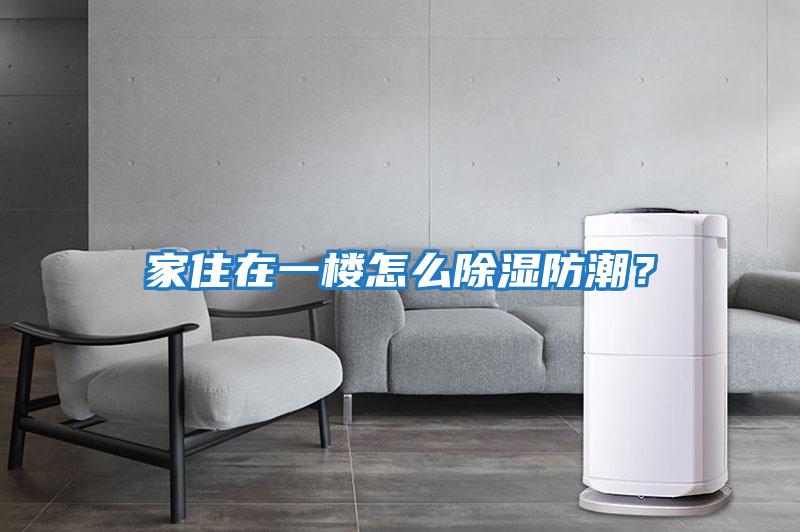 家住在一樓怎么除濕防潮？