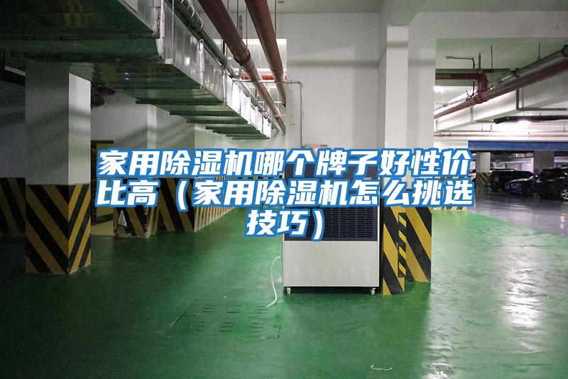 家用除濕機哪個(gè)牌子好性?xún)r(jià)比高（家用除濕機怎么挑選技巧）