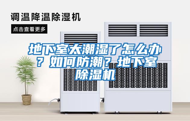 地下室太潮濕了怎么辦？如何防潮？地下室除濕機