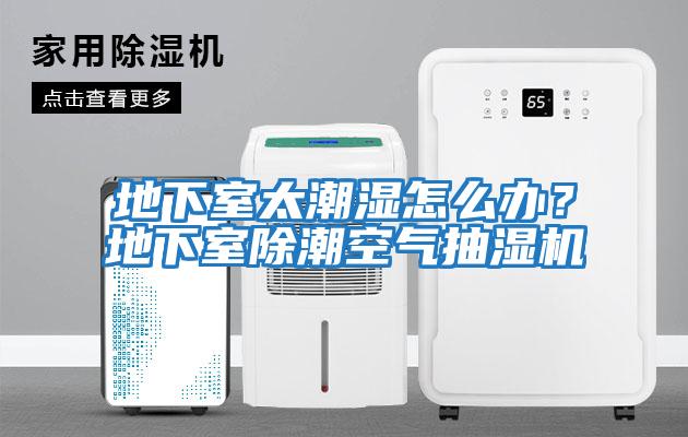 地下室太潮濕怎么辦？地下室除潮空氣抽濕機