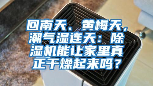 回南天、黃梅天，潮氣濕連天：除濕機能讓家里真正干燥起來(lái)嗎？
