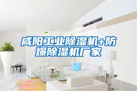咸陽(yáng)工業(yè)除濕機+防爆除濕機廠(chǎng)家