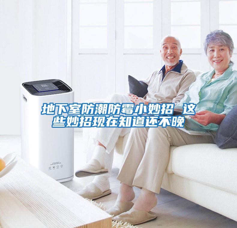 地下室防潮防霉小妙招 這些妙招現在知道還不晚