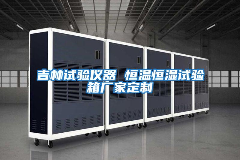 吉林試驗儀器 恒溫恒濕試驗箱廠(chǎng)家定制