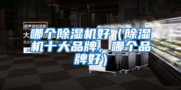 哪個(gè)除濕機好（除濕機十大品牌，哪個(gè)品牌好）