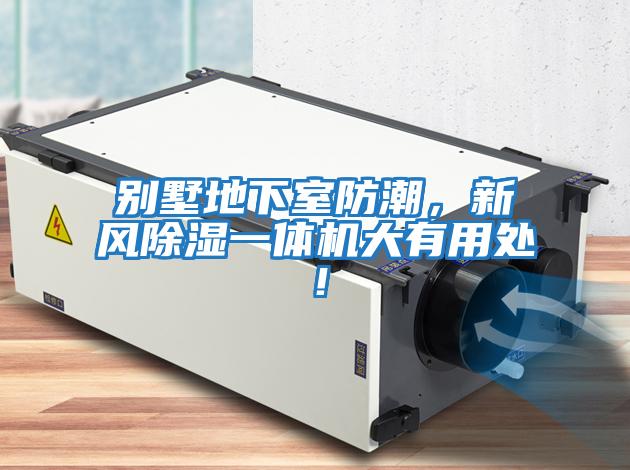 別墅地下室防潮，新風(fēng)除濕一體機大有用處！
