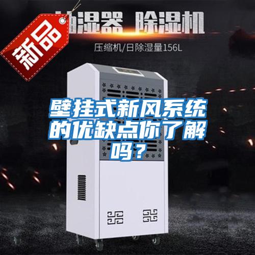 壁掛式新風(fēng)系統的優(yōu)缺點(diǎn)你了解嗎？