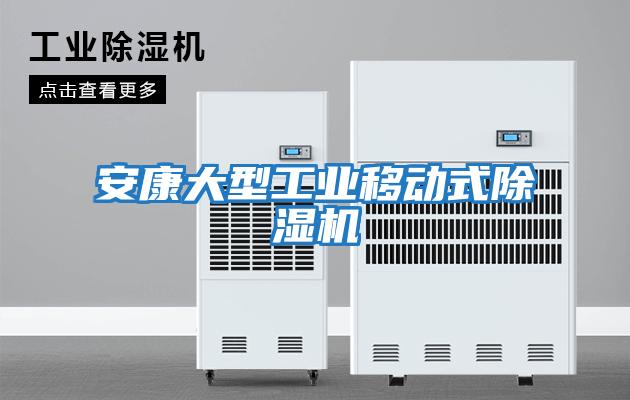 安康大型工業(yè)移動(dòng)式除濕機