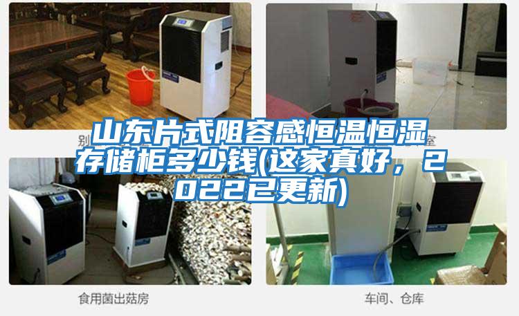 山東片式阻容感恒溫恒濕存儲柜多少錢(qián)(這家真好，2022已更新)
